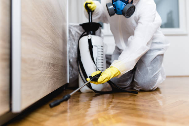 Best Rat Extermination Near Me  in Brodheadsville, PA