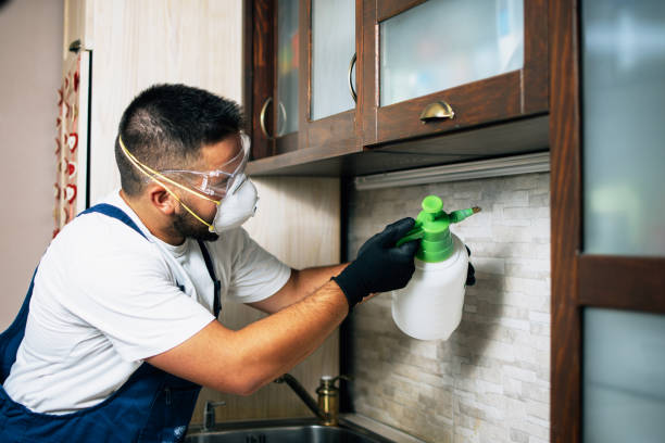 Best Best Pest Control Companies  in Brodheadsville, PA